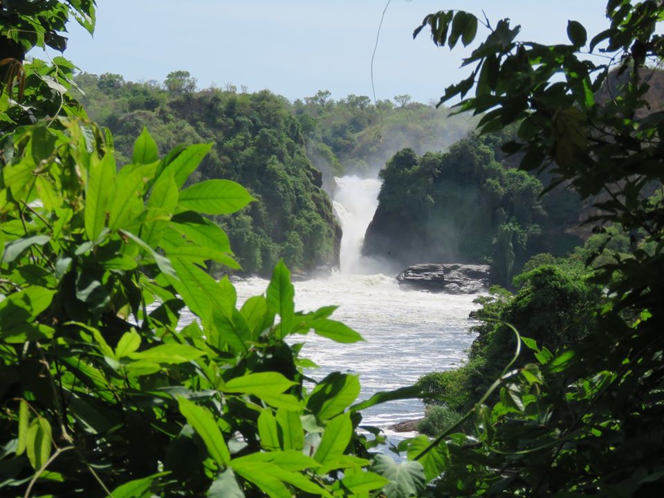 A closer of the powerful Murchison Falls in Murchison Falls National Park, Uganda