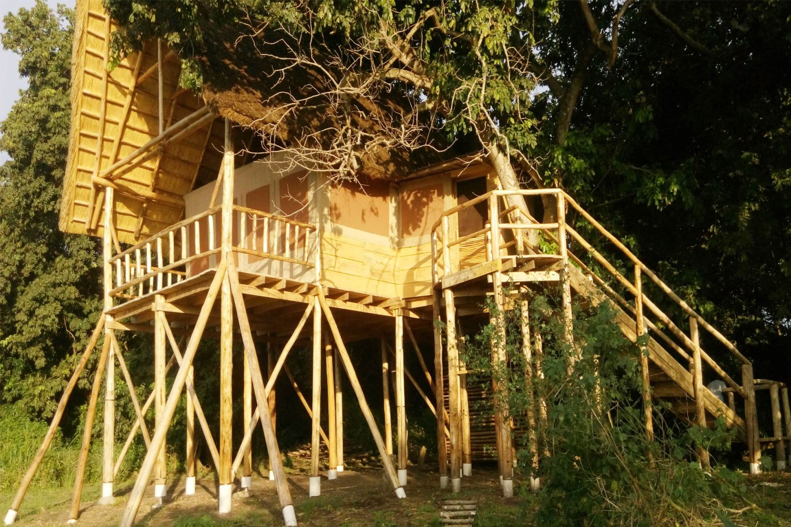 Murchison Tree House, Murchison Falls National Park, Uganda