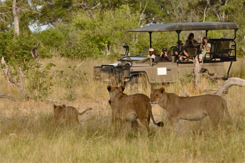 Guests on a safari game drive on one of the safari tracks in Murchison Falls National Park.