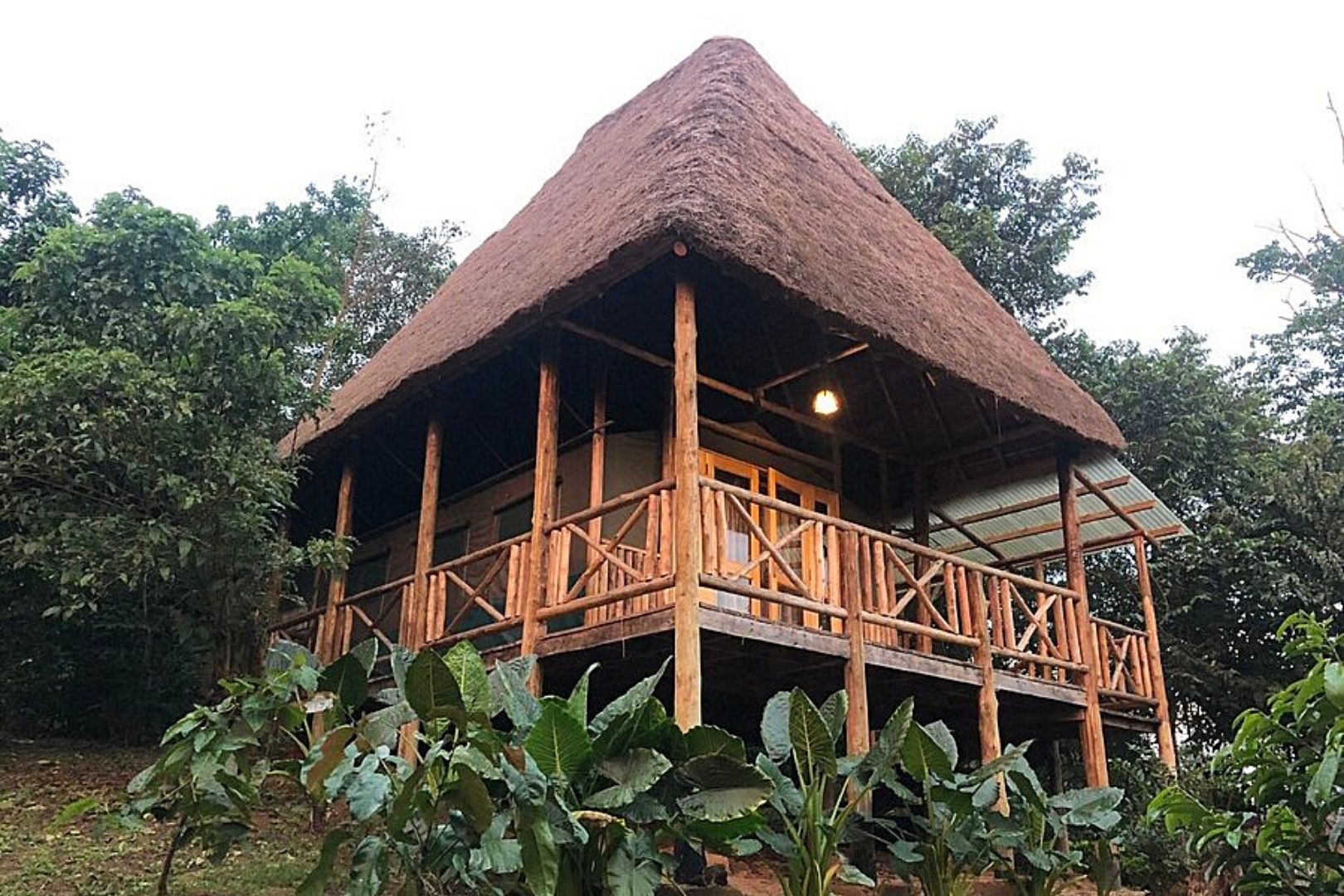 bugoma jungle lodge