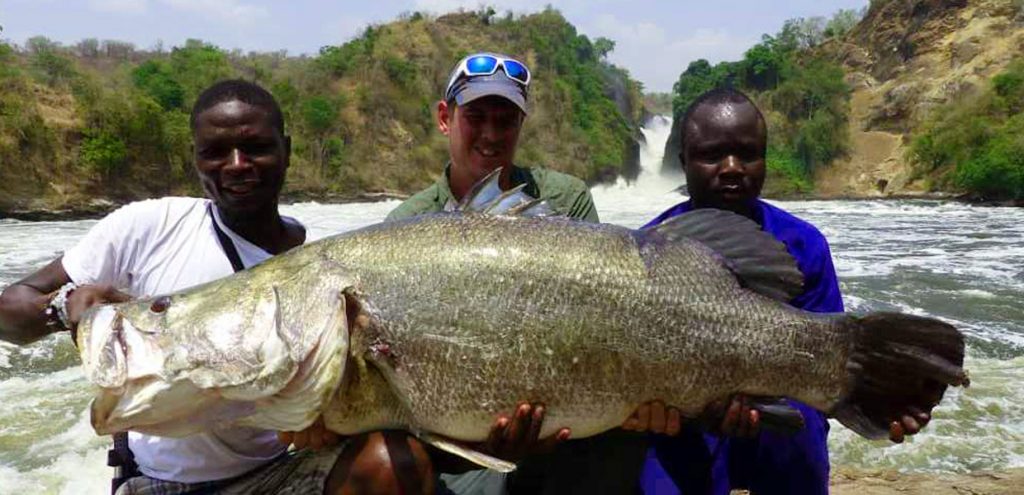 Murchison Falls Sport Fishing. Sport Fishing in Murchison Falls