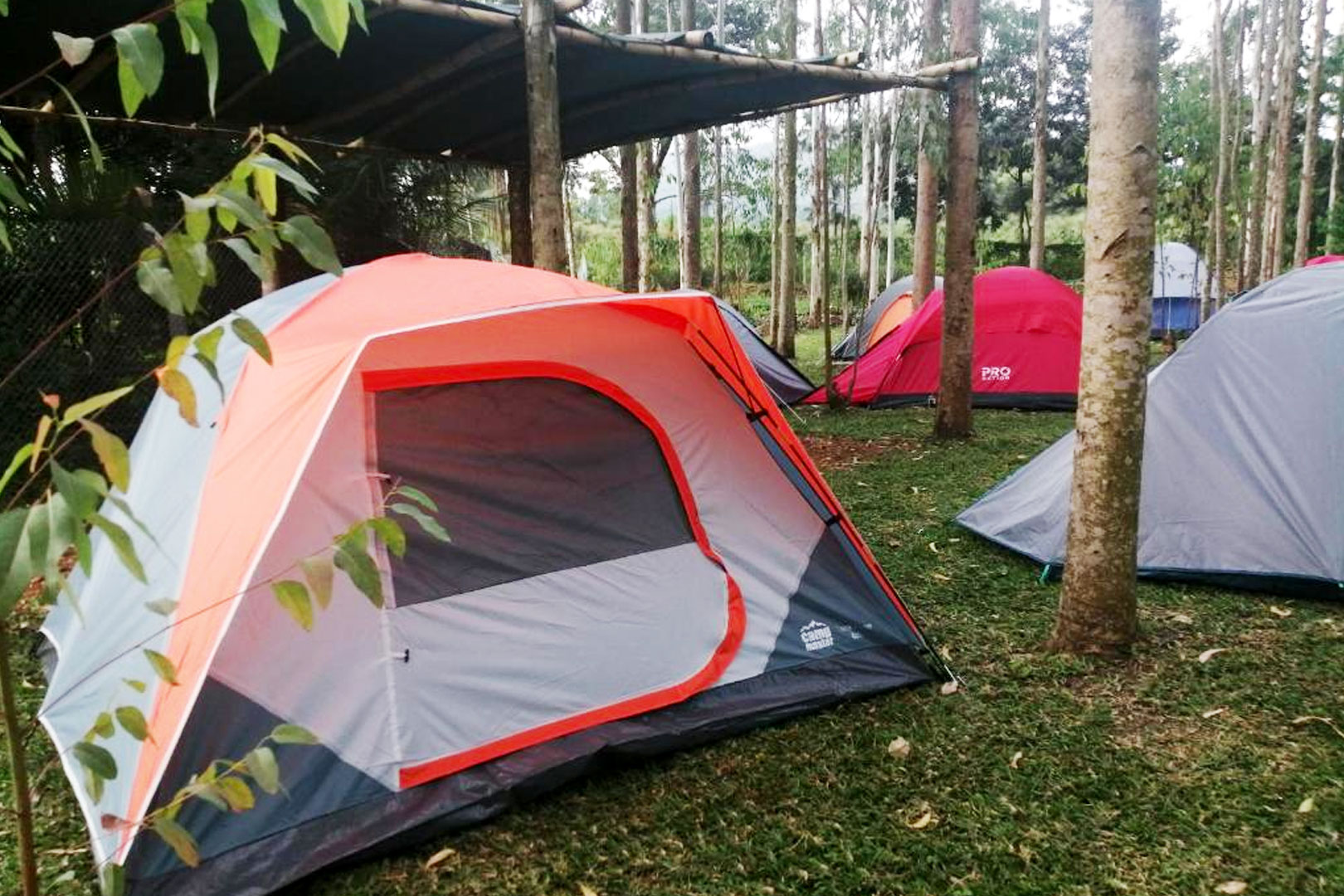 murchison-backpackers