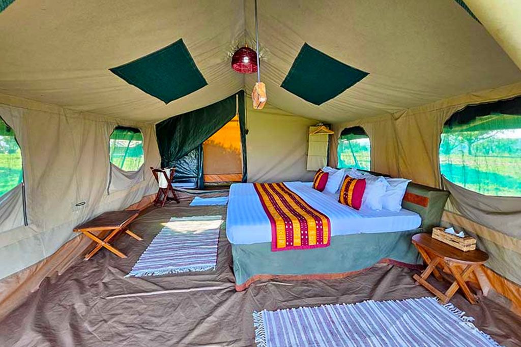 murchison-bush-camp