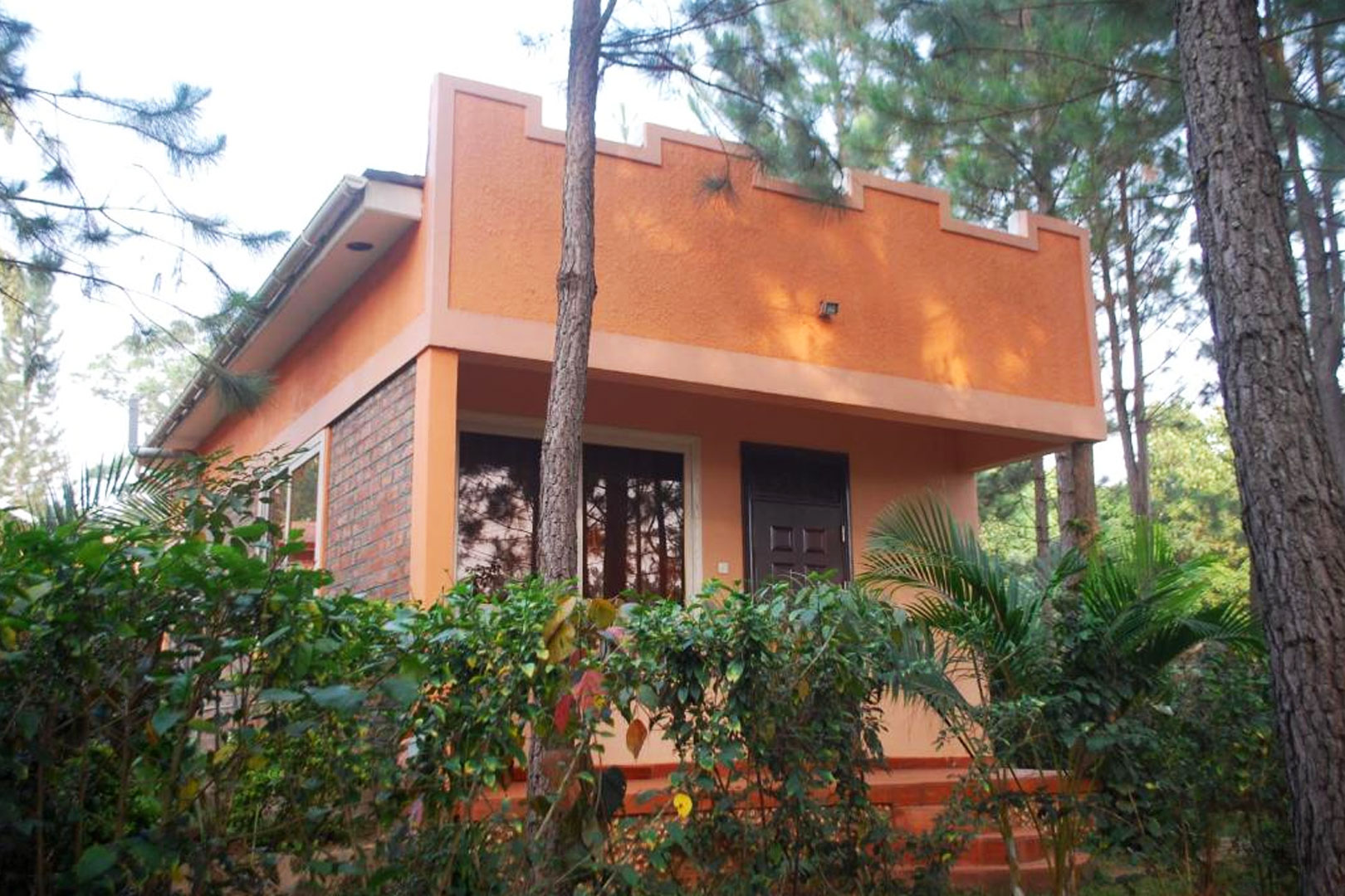 saltek-forest-cottages